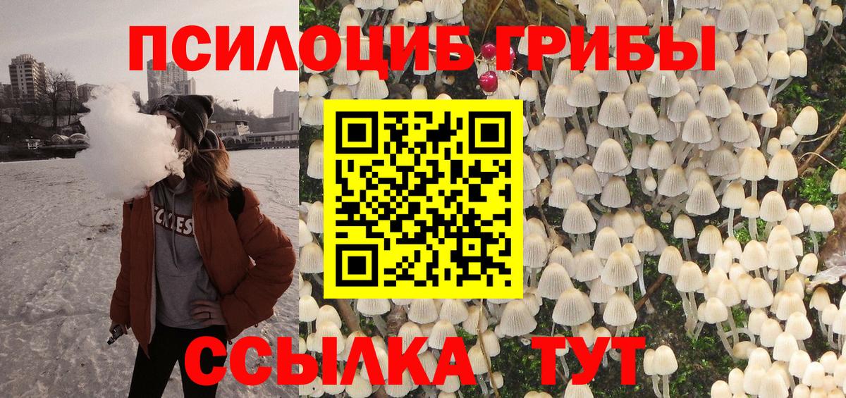 Галлюциногенные грибы Cubensis  Вход с VPN  Обь 