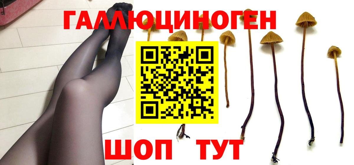 Галлюциногенные грибы GOLDEN TEACHER Обь