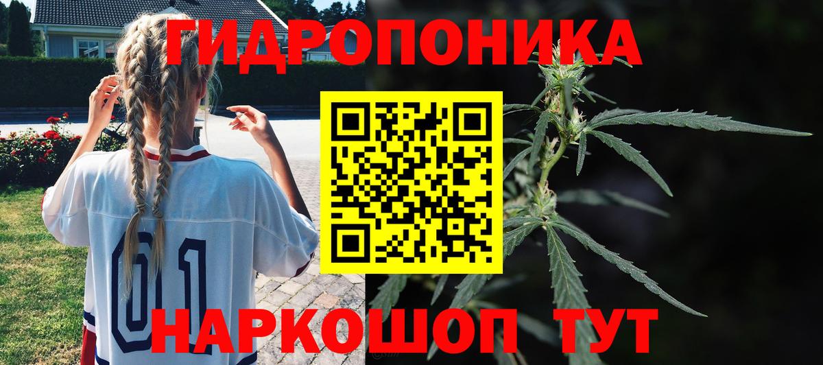 Бошки Шишки индика Обь